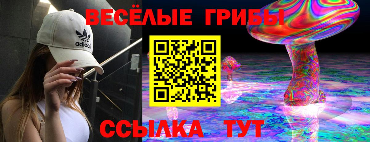 Москва  Псилоцибиновые грибы Psilocybe  Вход с VPN  купить наркоту  Псилоцибиновые грибы ЛСД 