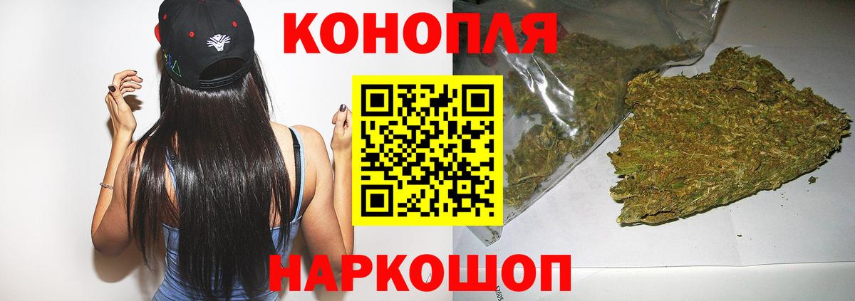 Конопля сатива Москва